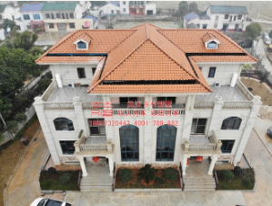 農(nóng)村別墅設(shè)計 農(nóng)村別墅設(shè)計