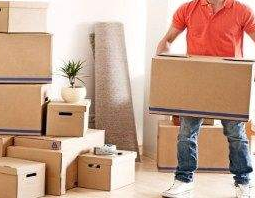 163972654887314430.png 1.png